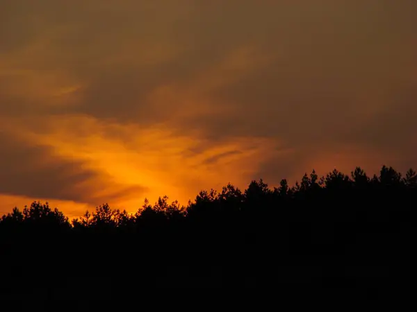 Sıcak Bir Yaz Akşamında Güzel Bir Gün Batımı Güzel Bulutlar — Stok fotoğraf