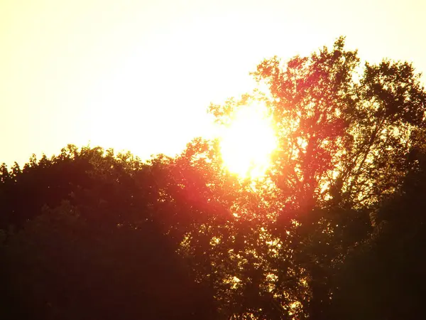 Sıcak bir yaz akşamında güzel bir gün batımı Güzel bulutlar