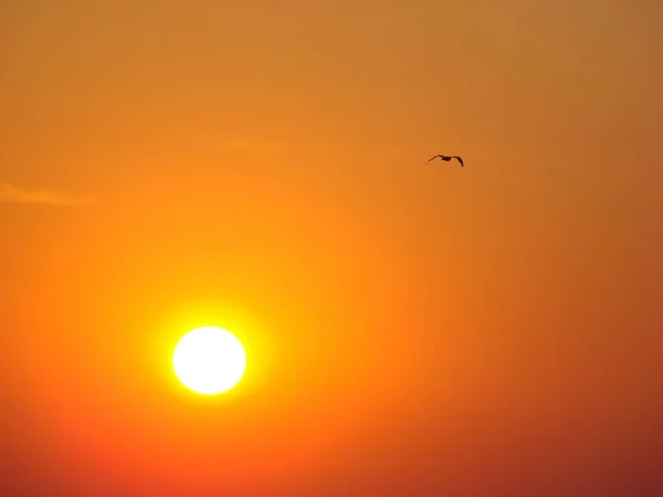 Zlemek Için Güzel Gün Batımı — Stok fotoğraf