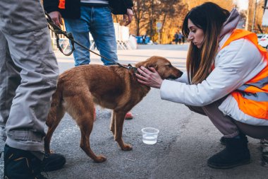 Gönüllülere insani yardım. Gönüllüler mültecilerle sınırı geçmesine izin verilmeyen bir köpeğe su verdiler. Ukraynalı mülteciler AB sınırına gidiyorlar. Uzhhorod, Ukrayna - Mart 2022