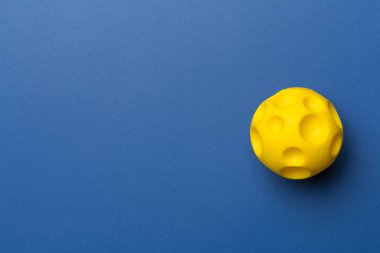 Renkli evcil hayvan için sarı dikenli top oyuncağı.