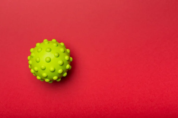 Grüner Stacheliger Ball Spielzeug Für Haustier Auf Farbigem Hintergrund — Stockfoto