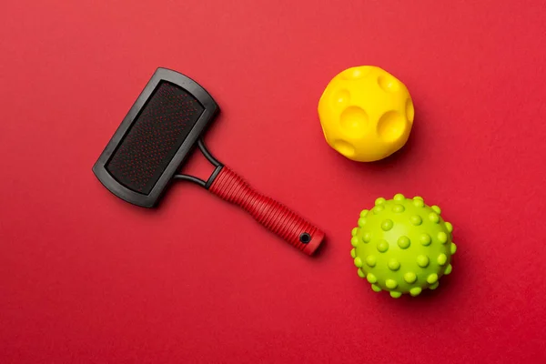 Pet brush and ball toys on color background.