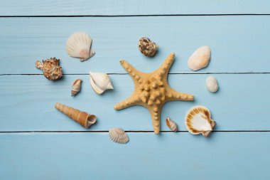 Ahşap arka planda deniz kabukları, üst manzara. Yaz konsepti.