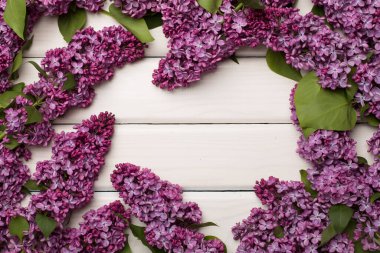 Ahşap arka planda leylak dallar, üst manzara. Bahar çiçekleri kavramı.