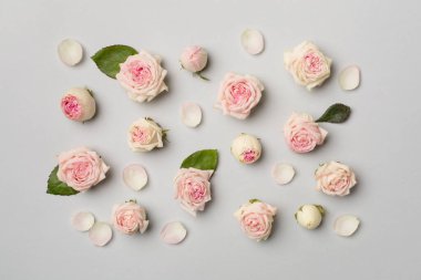 Flat lay with rose flowers on color background, top view.