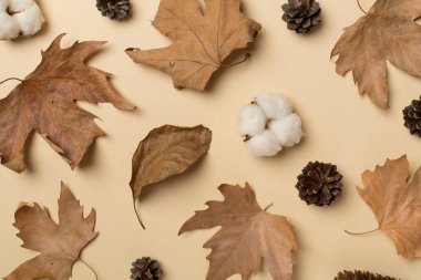 Flat lay composition with autumn leaves on color background, top view.