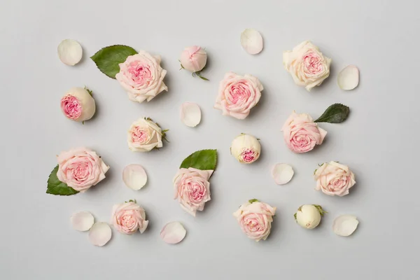 Flat Lay Rose Flowers Color Background Top View — Stok fotoğraf