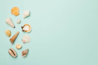 Renkli arka planda deniz kabukları, üst manzara. Yaz konsepti.