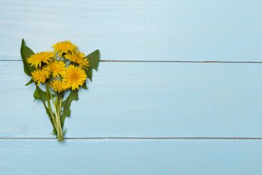 Ahşap arka planda sarı karahindiba, üst manzara.