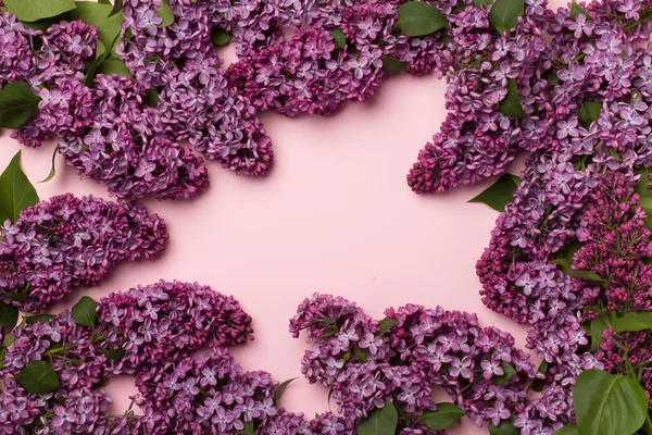 Lilac Takken Kleur Achtergrond Bovenaanzicht Voorjaarsbloemen — Stockfoto