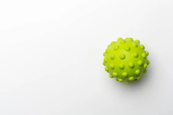 Green Spiky Ball Toy Pet White Background — Stockfoto