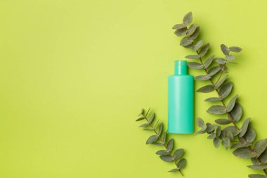 Renkli arka planda okaliptüs dallı kozmetik şişesi, üst görünüm. 