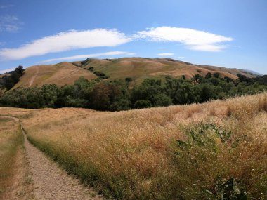 Hayward, California 'daki Garin Bölgesel Parkı