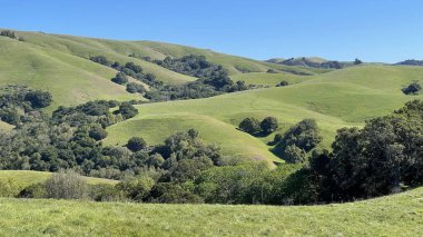 Hayward, California 'daki Garin Bölgesel Parkı