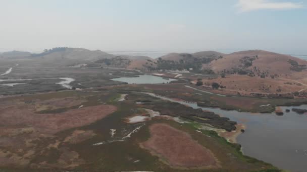 Park Regionalny Coyote Hills Union City San Francisco Bay Area — Wideo stockowe