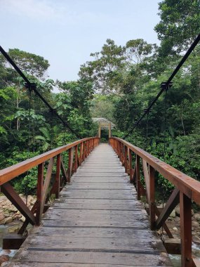 Ormanın ortasındaki köprü (Tarapoto, Peru)
