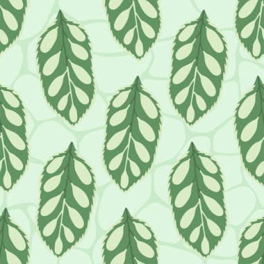 Benzersiz tropikal bitki pürüzsüz desen bırakır