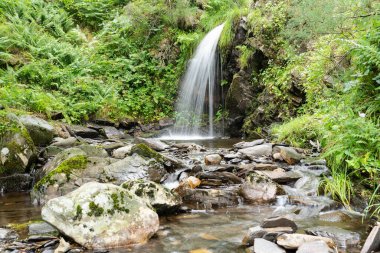 Eğreltiotlarının dereye aktığı bir şelale. Asturya manzarası. Huzur kavramı. 