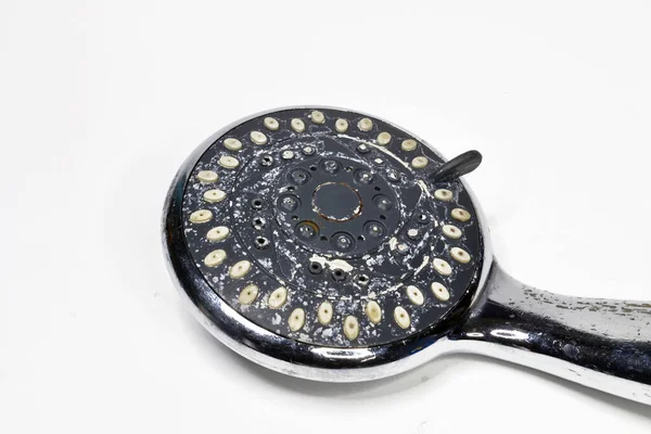 Duş başlığındaki kireç pulu gri arkaplanda izole edildi