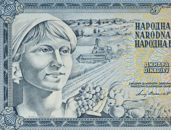 Detail 1000 Dinars Paper Bill Printed Yugoslavia Shows Woman Agriculture — Stock Photo, Image