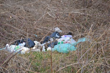 Sırbistan 'da ana yol yakınlarındaki çalılıklara ev atıkları atıldı