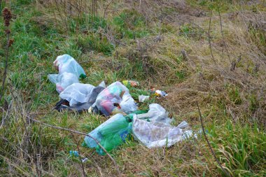 Sırbistan 'da ana yol yakınlarındaki çalılıklara ev atıkları atıldı