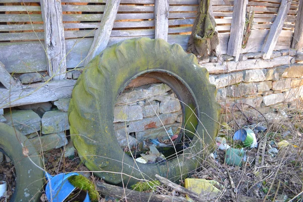 Big Tractor Tire Green Moss Trash — Stock Photo, Image