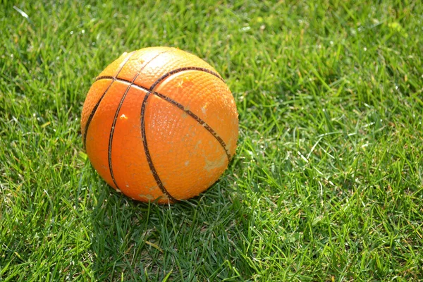 Orange Ball Green Lawn Royalty Free Stock Photos