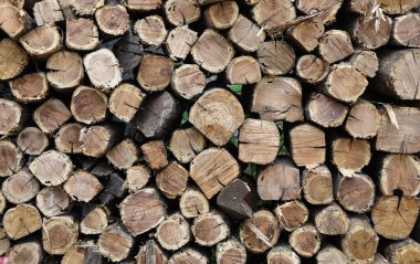 Yakacak odun gelecek kış için hazırlandı ve paketlendi.