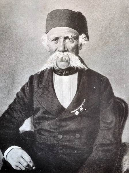 Vuk Karadziç 'in (1787-1864) 19. yüzyılın ünlü Sırpları (1901) tarafından Josif Danilovac (1877-1945) tarafından basıldı.)