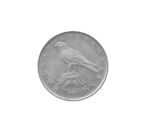 Лицьовій Стороні Вінтажу Монет Forint Виготовлених Угорщиною Зображено Сокола Saker — стокове фото