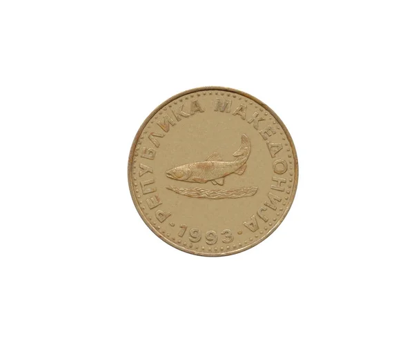 Обратная Сторона Монеты Номиналом Динара Сделанной Македонией Которой Изображена Коричневая — стоковое фото
