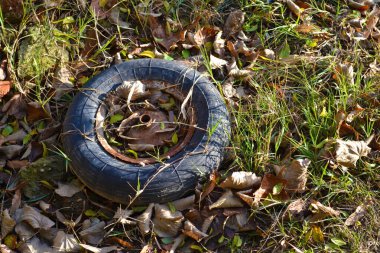 Sonbahar yapraklarındaki eski lastik, güneşle aydınlanıyor.