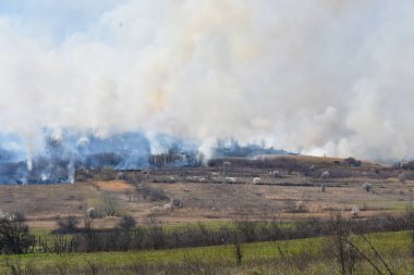 Ülkenin kırsal kesiminde büyük orman yangını
