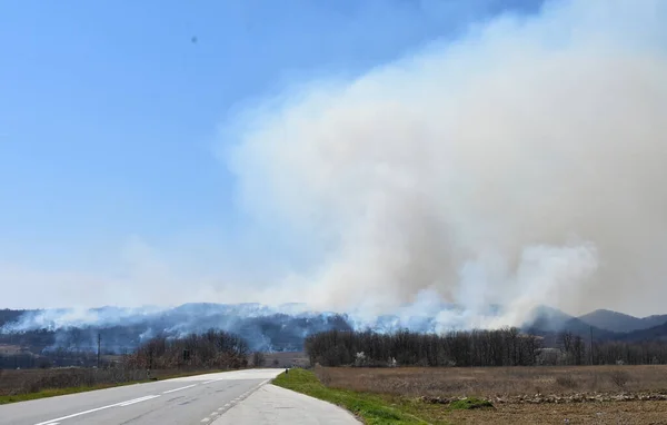 Ülkenin kırsal kesiminde büyük orman yangını