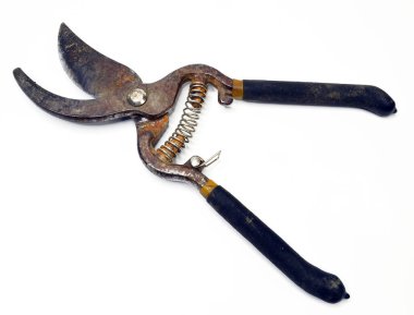 Beyaz arkaplanda eski üzüm bağı makasları