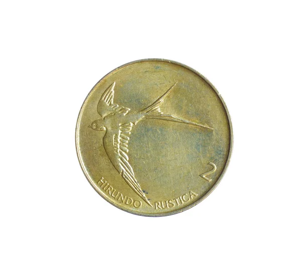 Two Slovenian Tolar Coin Made Slovenia Shows Barn Swallow Flight — Foto de Stock