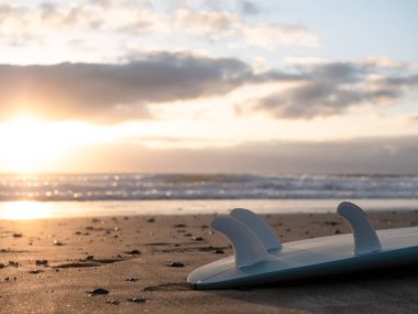 Surfboard on the beach shore at sunrise