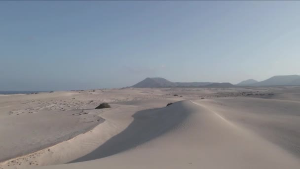Fuerteventura Hava Manzaralı Corralejo Kum Tepeleri Doğal Parkı — Stok video