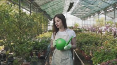 Çiçekleri ve çiçekleri sulayan önlüklü mutlu kadın çiçekçi. Kız bir serada ev bitkileriyle ilgileniyor. Çiçeklerle ilgilenmek