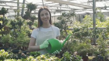 Çiçekleri ve çiçekleri sulayan önlüklü mutlu kadın çiçekçi. Kız bir serada ev bitkileriyle ilgileniyor. Çiçeklerle ilgilenmek