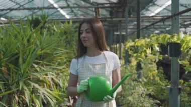 Çiçekleri ve çiçekleri sulayan önlüklü mutlu kadın çiçekçi. Kız bir serada ev bitkileriyle ilgileniyor. Çiçeklerle ilgilenmek