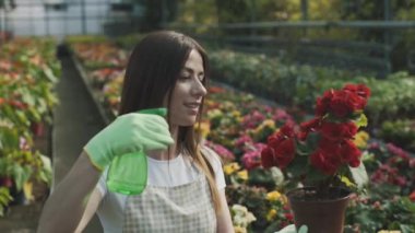 Kız bahçede çiçek sıkıyor. Kafkasyalı kadın bitkileri nemlendirerek ilgilenir. Bahçeciliğin yavaş çekim videosu