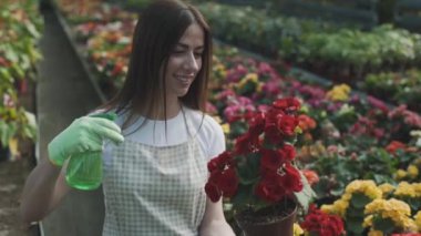 Kız bahçede çiçek sıkıyor. Kafkasyalı kadın bitkileri nemlendirerek ilgilenir. Bahçeciliğin yavaş çekim videosu