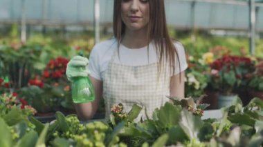 Kız bahçede çiçek sıkıyor. Kafkasyalı kadın bitkileri nemlendirerek ilgilenir. Bahçeciliğin yavaş çekim videosu