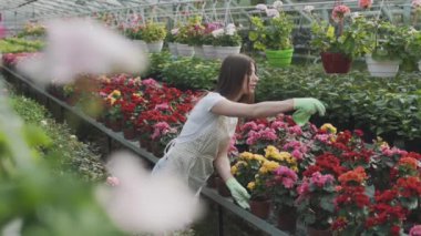 Girl sprays flowers in the garden. Caucasian woman takes care of plants by moisturizing them. Slow motion video of gardening