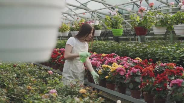 女孩在花园里撒花 白人妇女通过给植物保湿来照顾它们 园艺慢镜头 — 图库视频影像