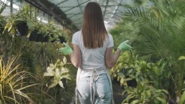 Genç çiftçi kız elinde yeşilliklerle saksıyı tutuyor. Çiçekli sera. Yavaş çekim