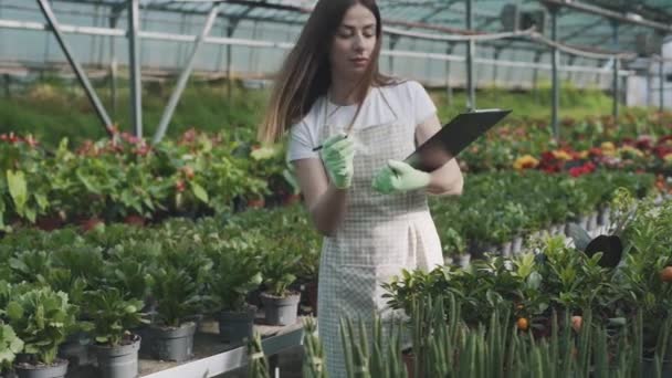 Uma Jovem Florista Asiática Inteligente Verifica Qualidade Das Plantas Uma — Vídeo de Stock